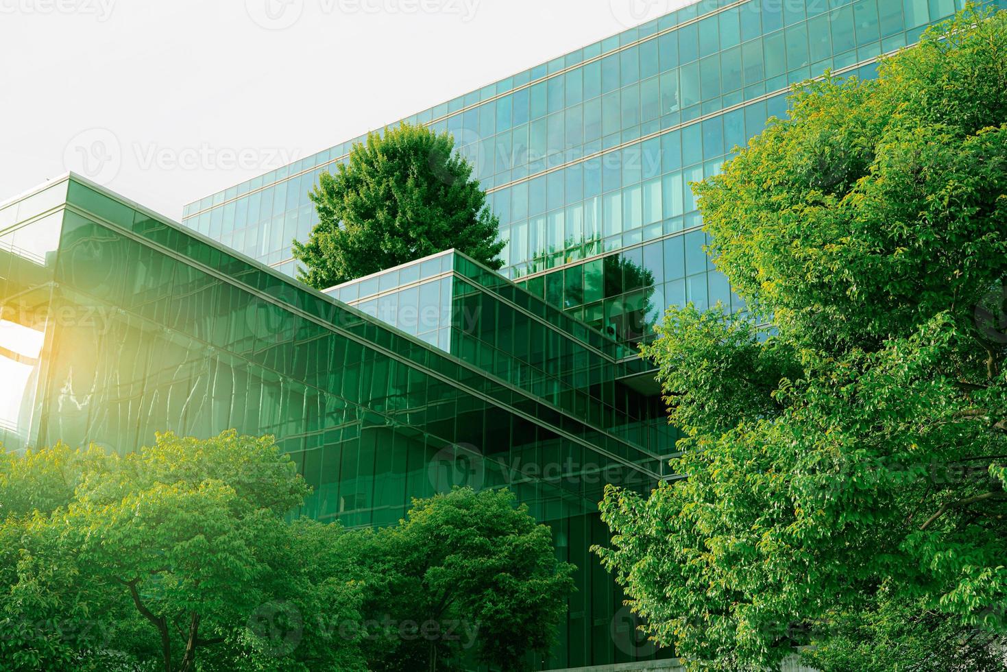 Sustainble green building. Eco-friendly building. Sustainable glass office building with tree for reducing carbon dioxide. Office with green environment. Corporate building reduce CO2. Safety glass. photo
