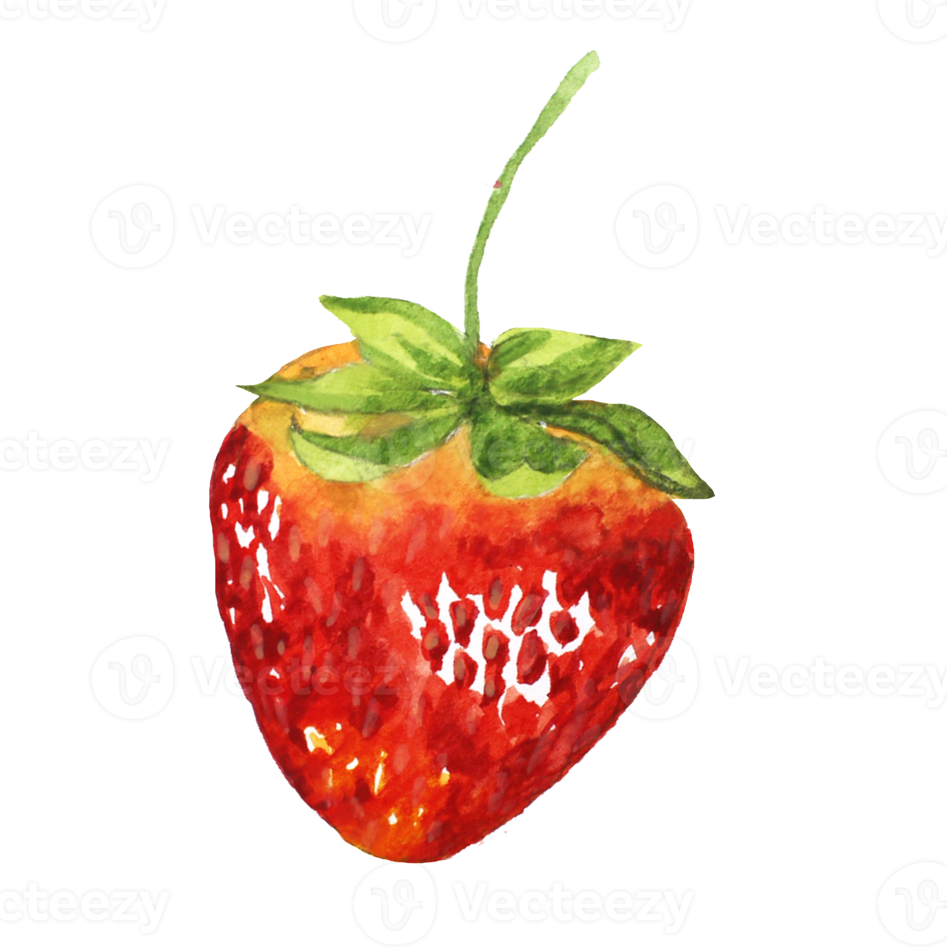 Free Strawberry watercolor painting 20482788 PNG with Transparent
