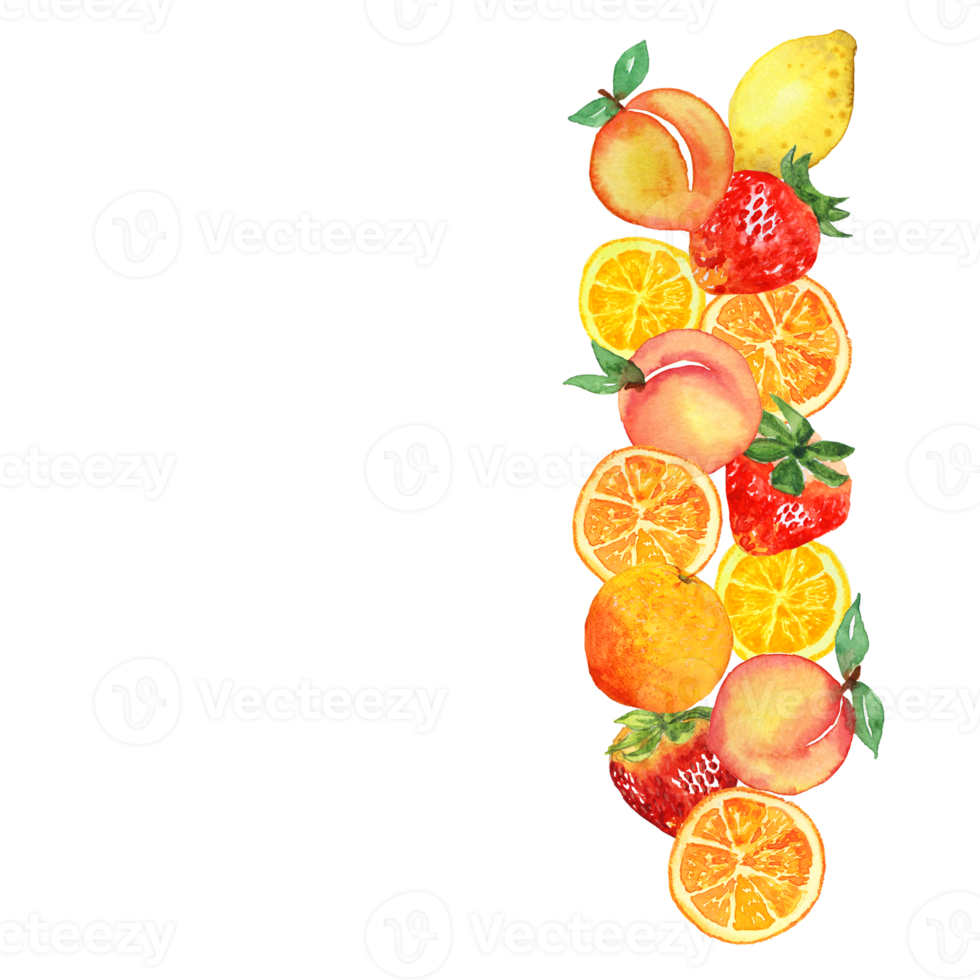 Mixed Fruit watercolor Side border, Peach, Orange, Strawberry, Lemon png