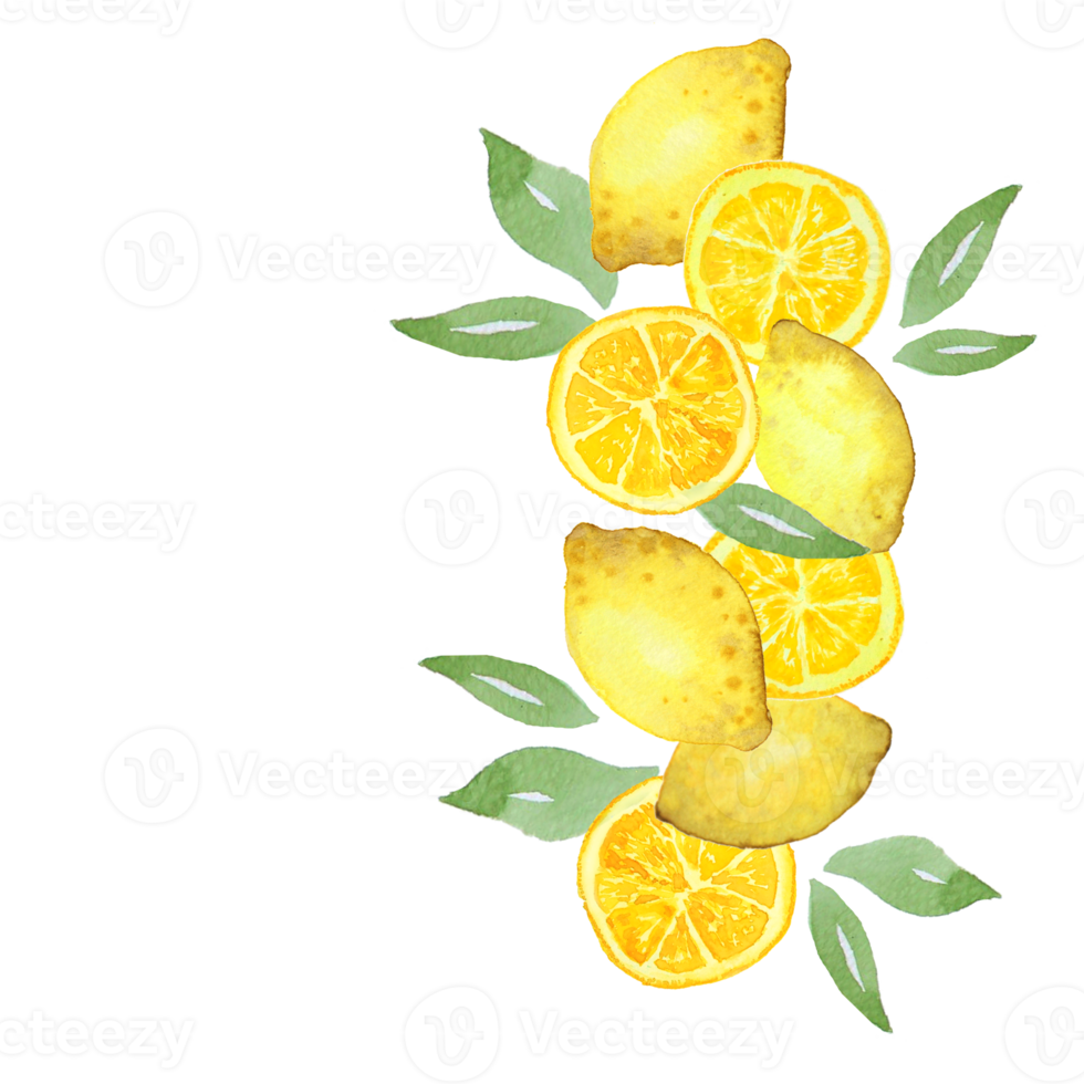 Lemon watercolor painting side border png