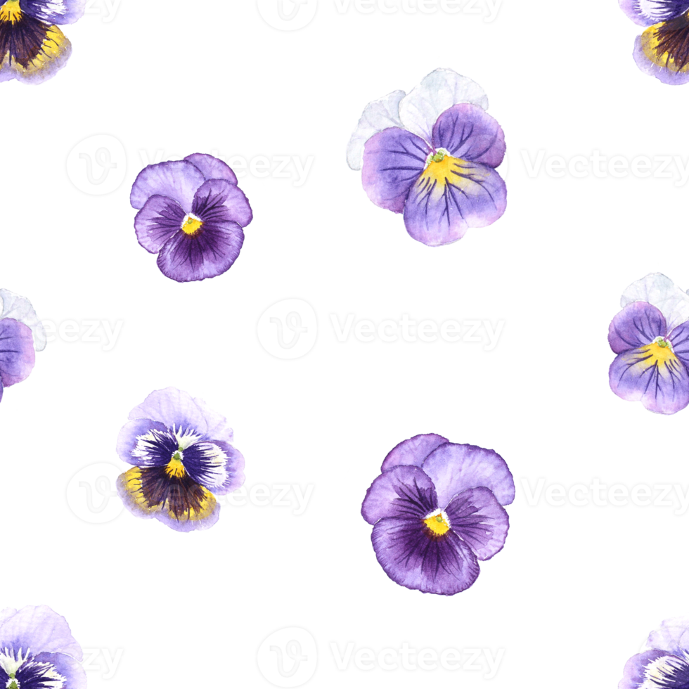 Purple Pansy Flower watercolor painting Seamless background png