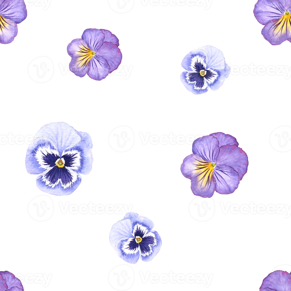 Purper viooltje bloem waterverf schilderij naadloos achtergrond png