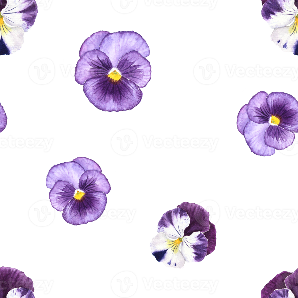 Purple Pansy Flower watercolor painting Seamless background 20482829 PNG
