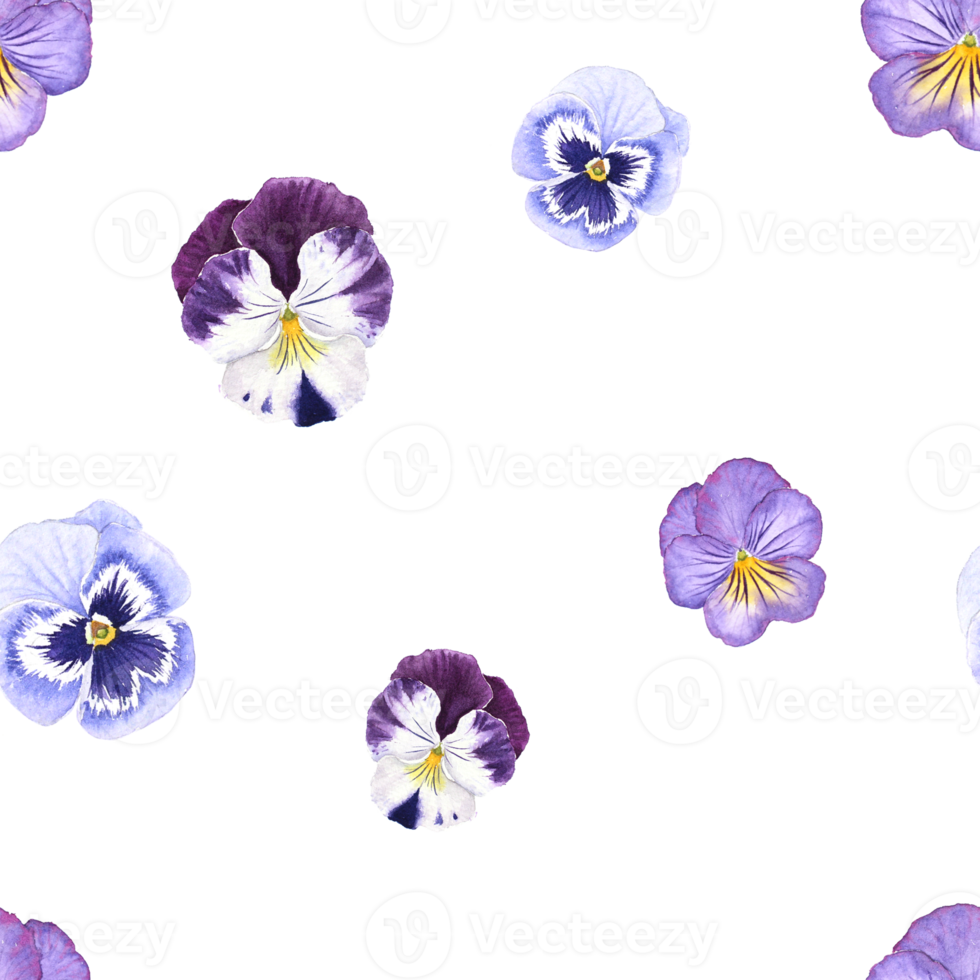 Purple Pansy Flower watercolor painting Seamless background png