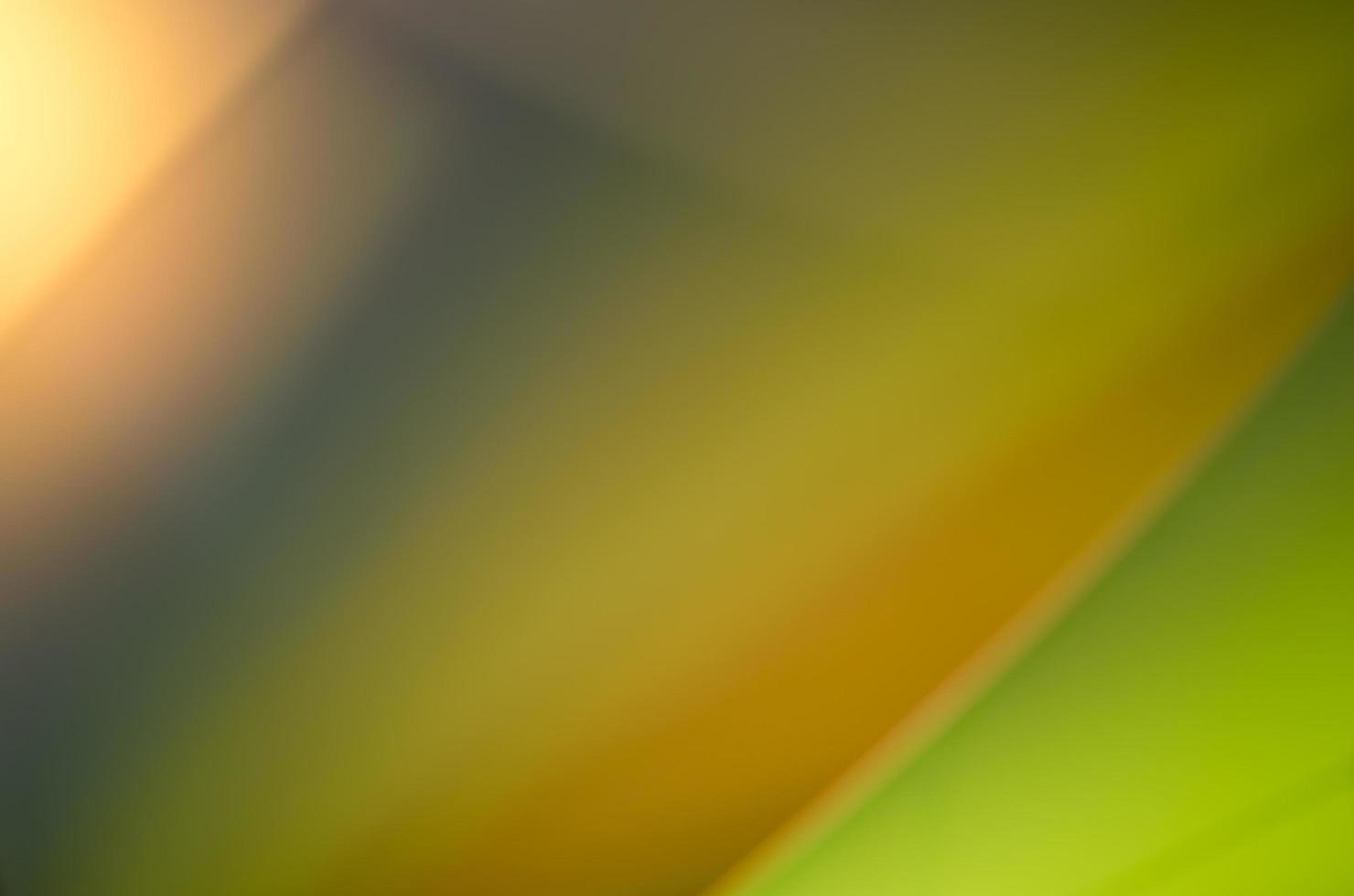 Smooth Green Colors Gradient Background photo