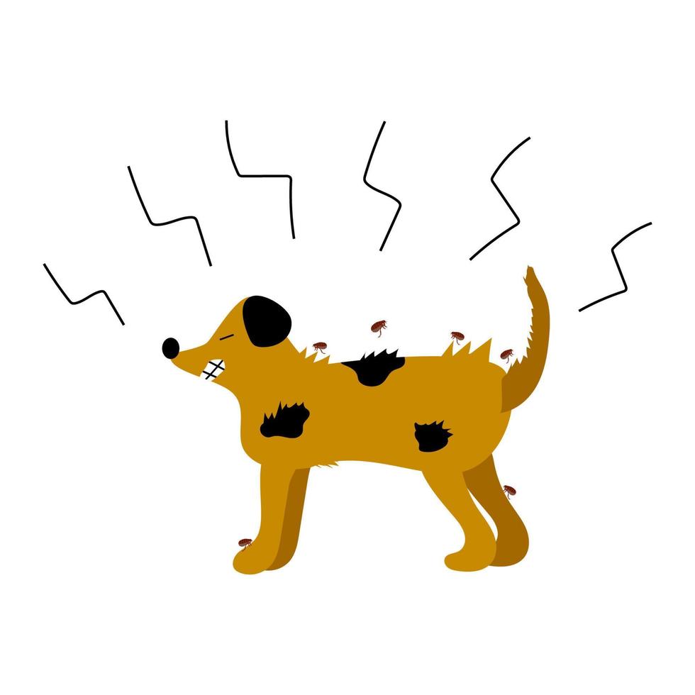 Vector illustration of a dog being attacked by fleas. The dog itches. Parasite infestation. Dog and flea.