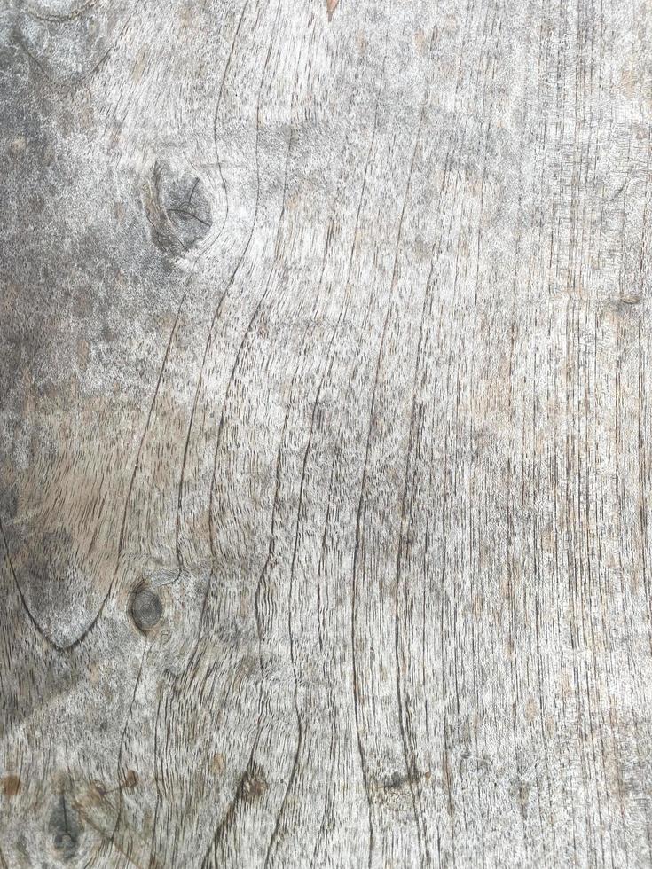 close up rustic moldy old wood texture for background photo