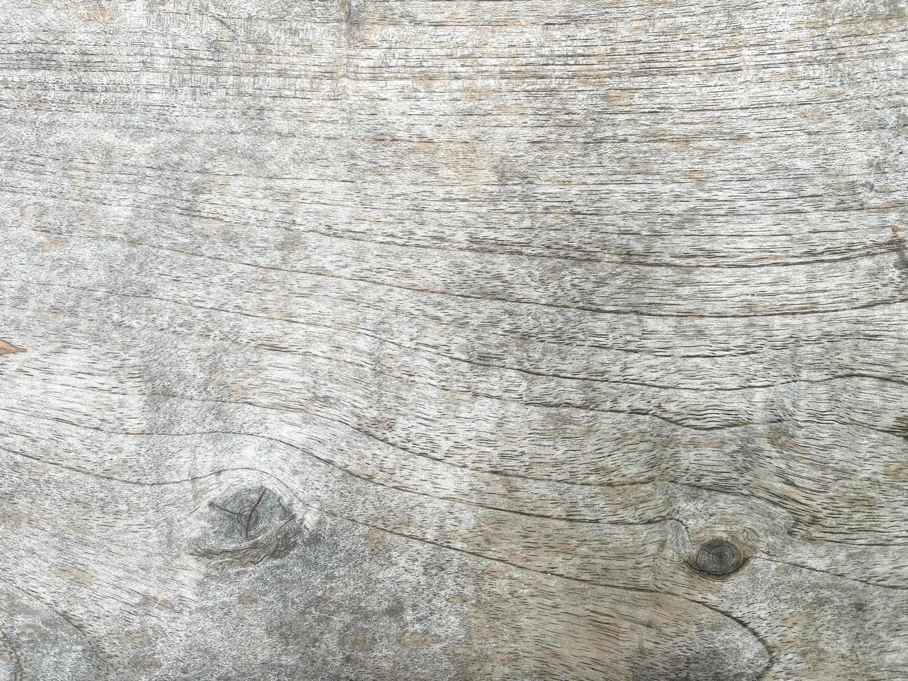 close up rustic moldy old wood texture for background photo