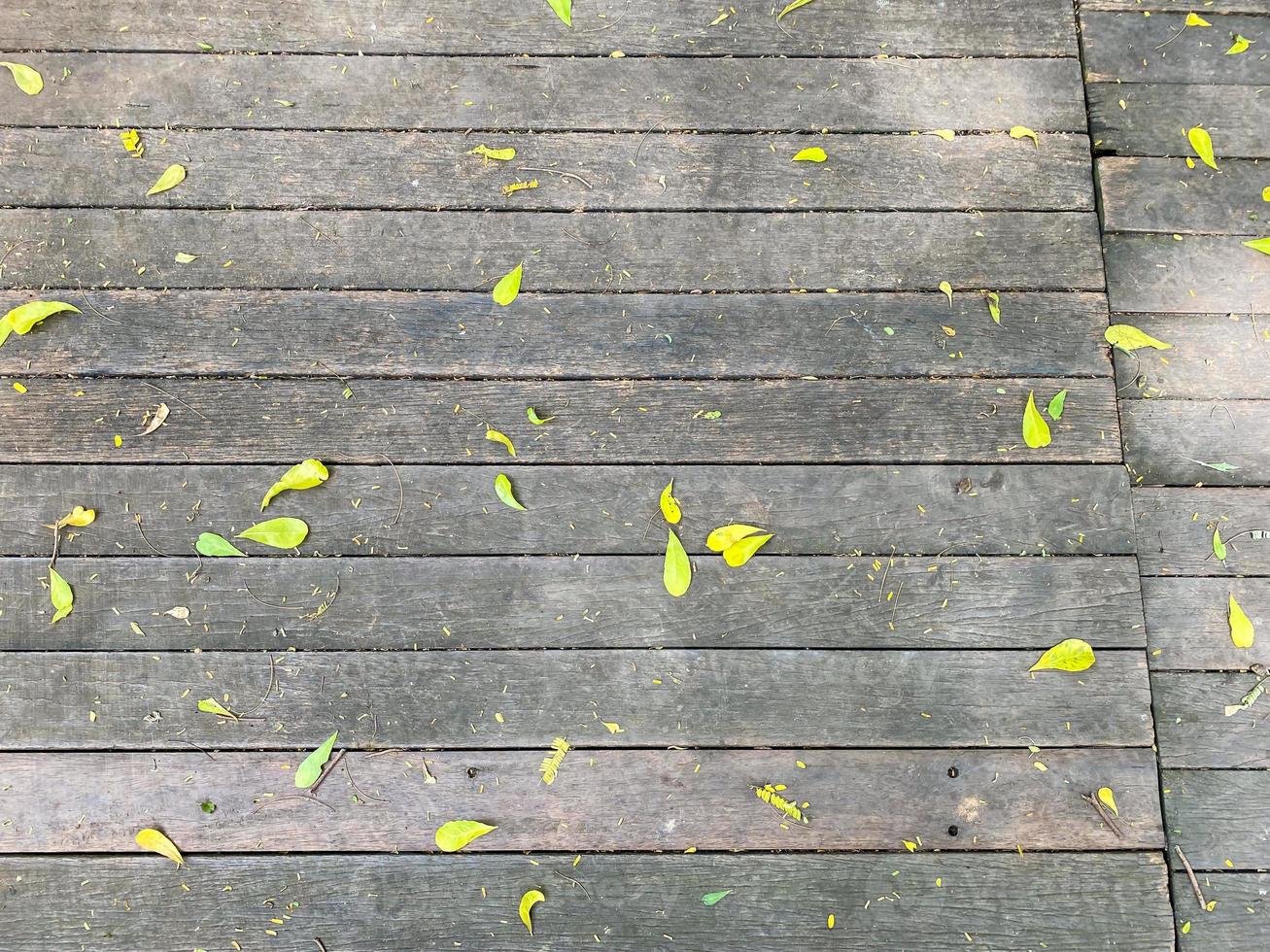 yellow leaves fall and scattered above wooden deck floor under the sunlight with shadows. photo