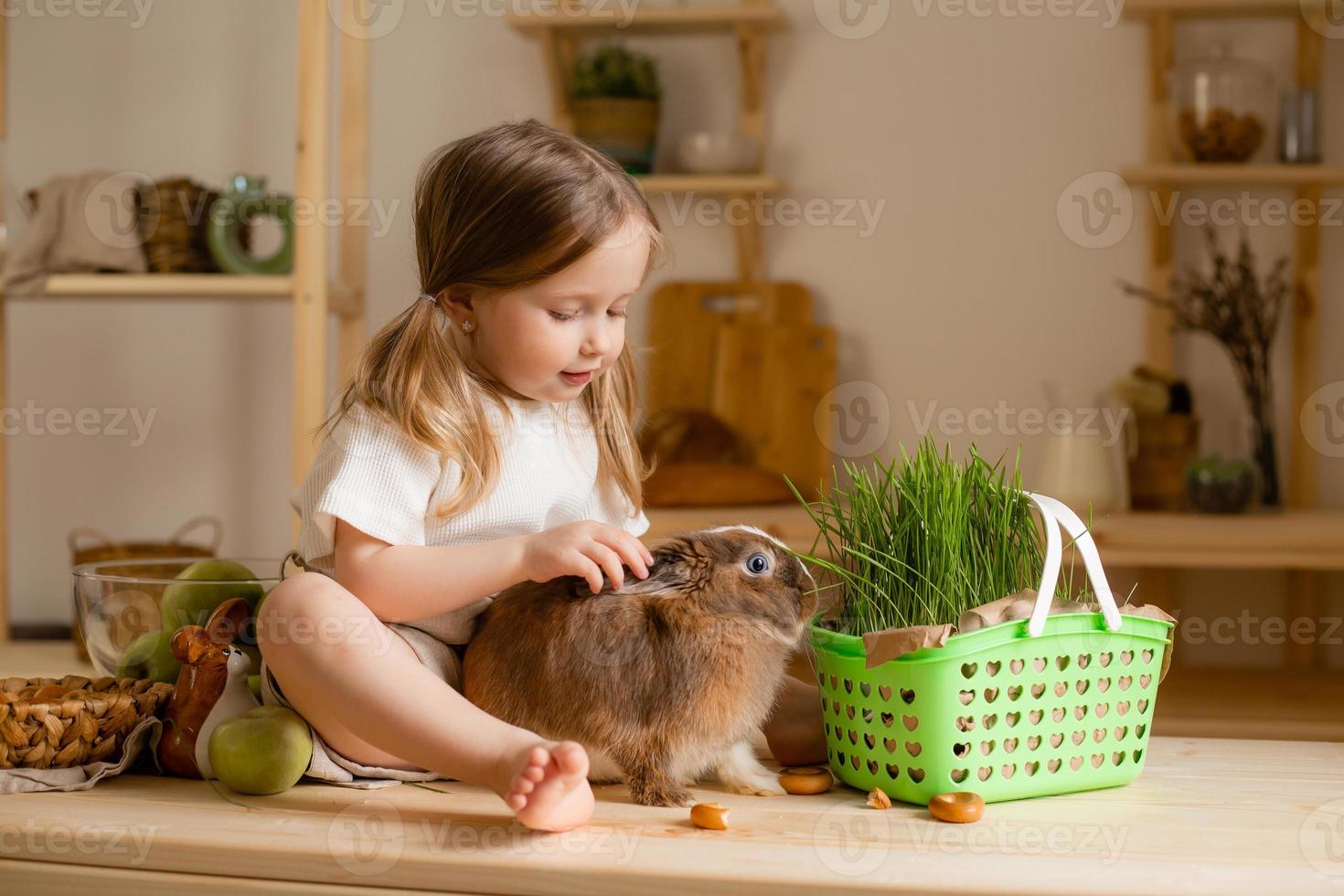 Cute little girl in the wooden kitchen of the house feeds the rabbit fresh grass photo