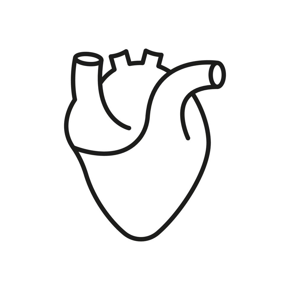 humano corazón línea icono. médico cardiología lineal símbolo. anatomía de sano cardiovascular Organo contorno icono. cardíaco músculo signo. editable ataque. aislado vector ilustración.