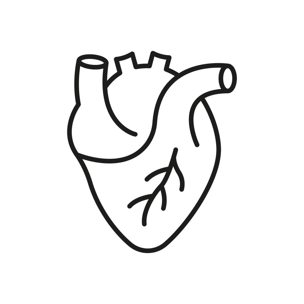 Human Heart Line Icon. Cardiac Muscle Sign. Medical Cardiology Linear Symbol. Anatomy of Healthy Cardiovascular Organ Outline Icon. Editable Stroke. Isolated Vector Illustration.