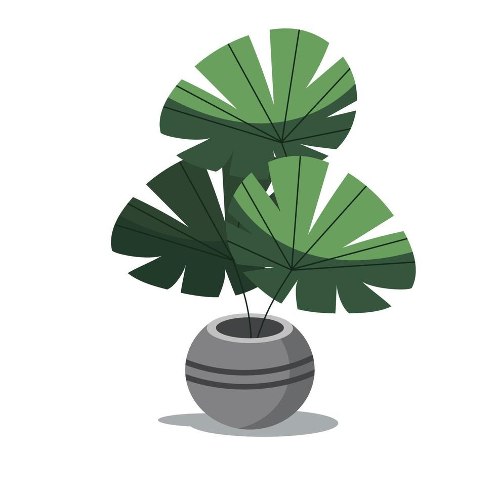 monstera deliciosa hoja vector diseño