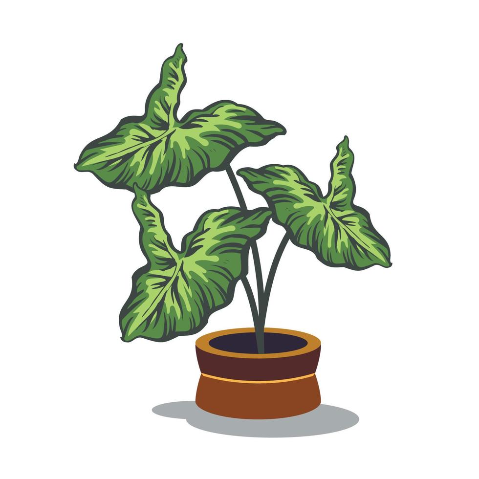 alocasia on pot vector design