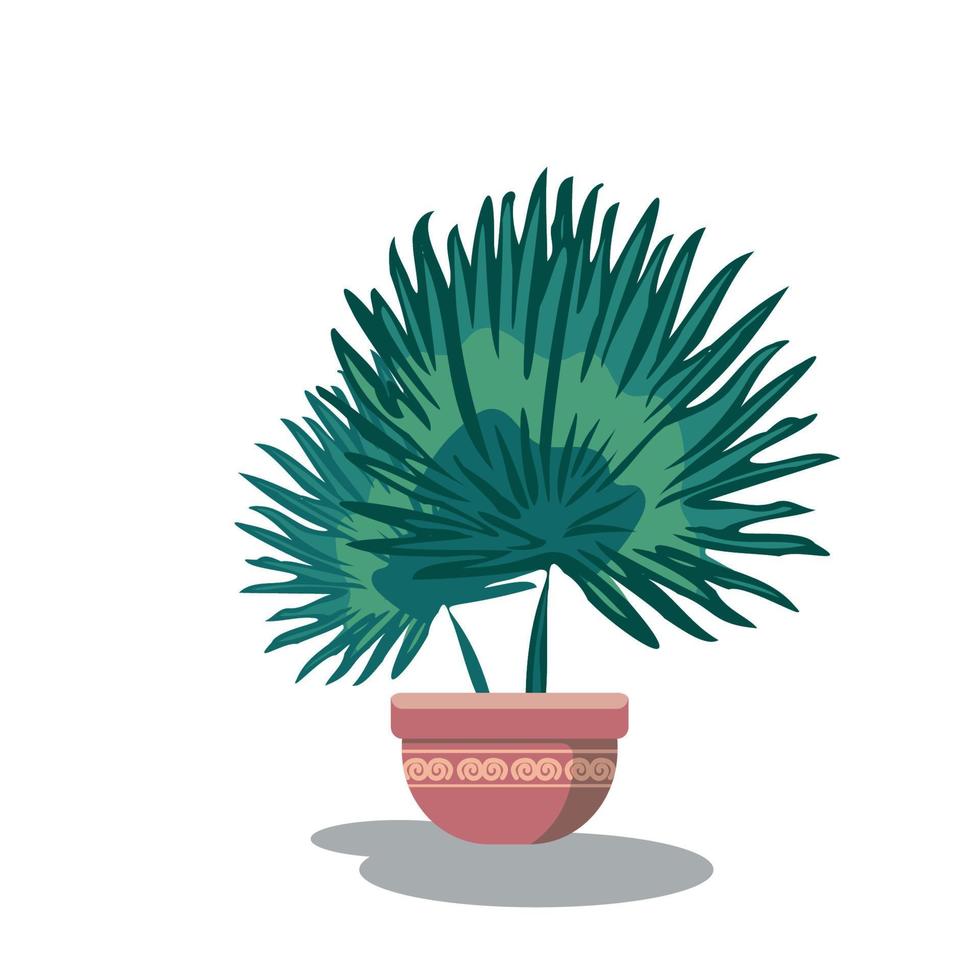 palm on pot leaf vector design 20487242 Vector Art at Vecteezy