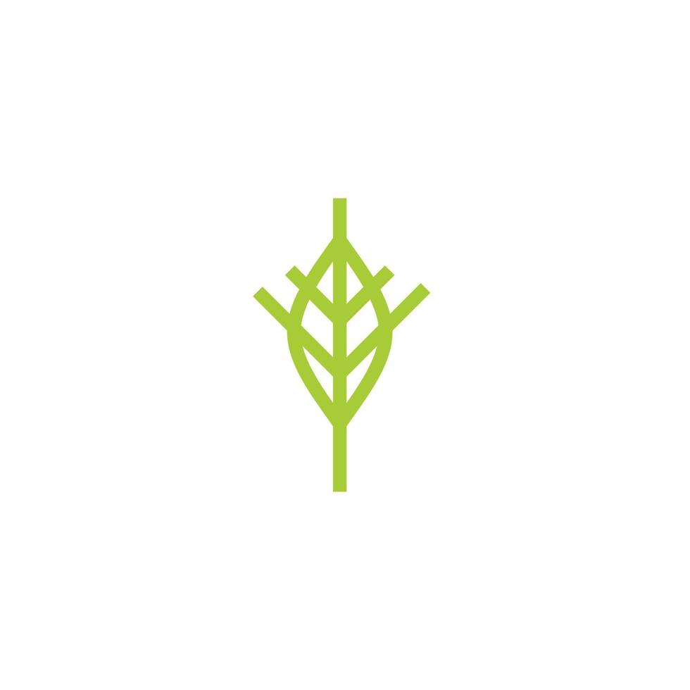 leaf abstract flat icon vector