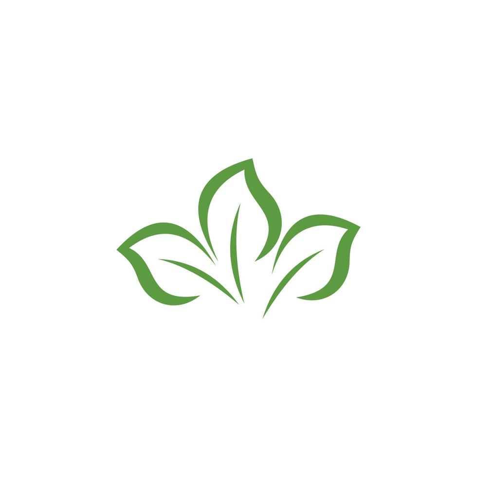 three green leaf flat design logo vector