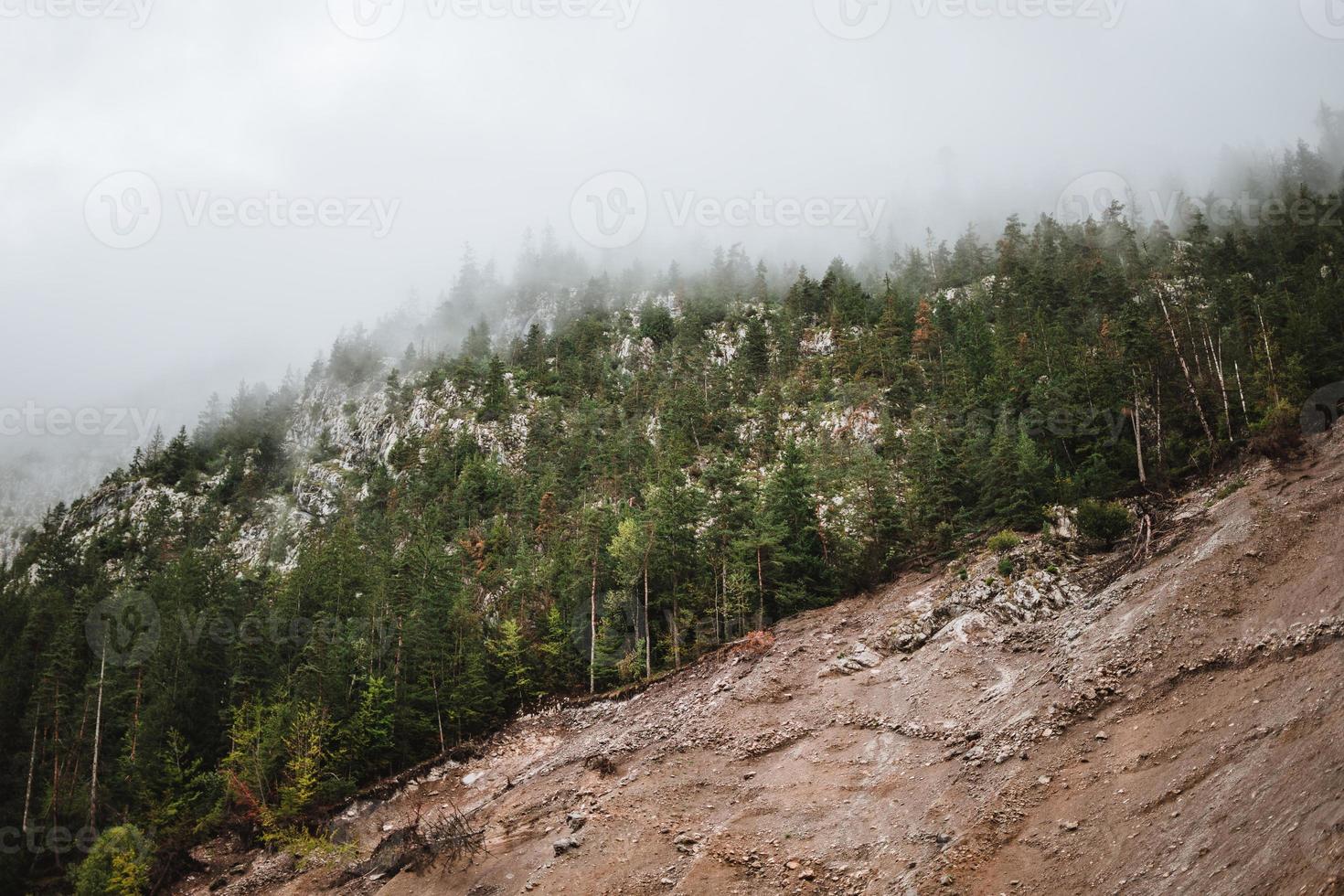 Majestic mountains in the Alps covered with trees and clouds photo