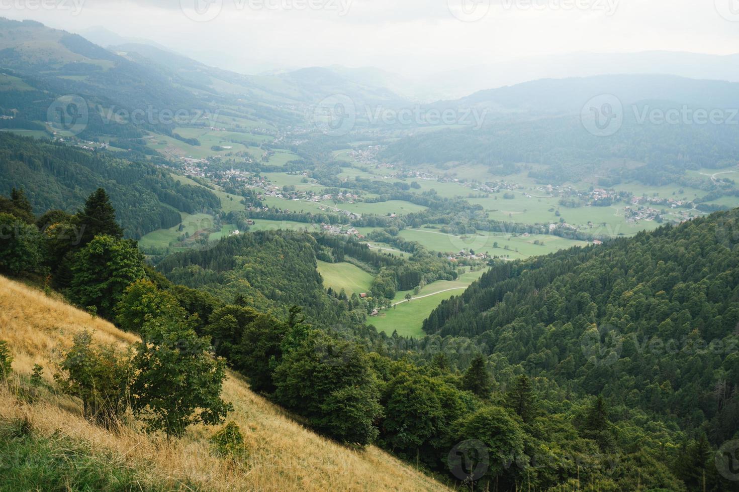 Majestic mountains in the Alps covered with trees and clouds photo