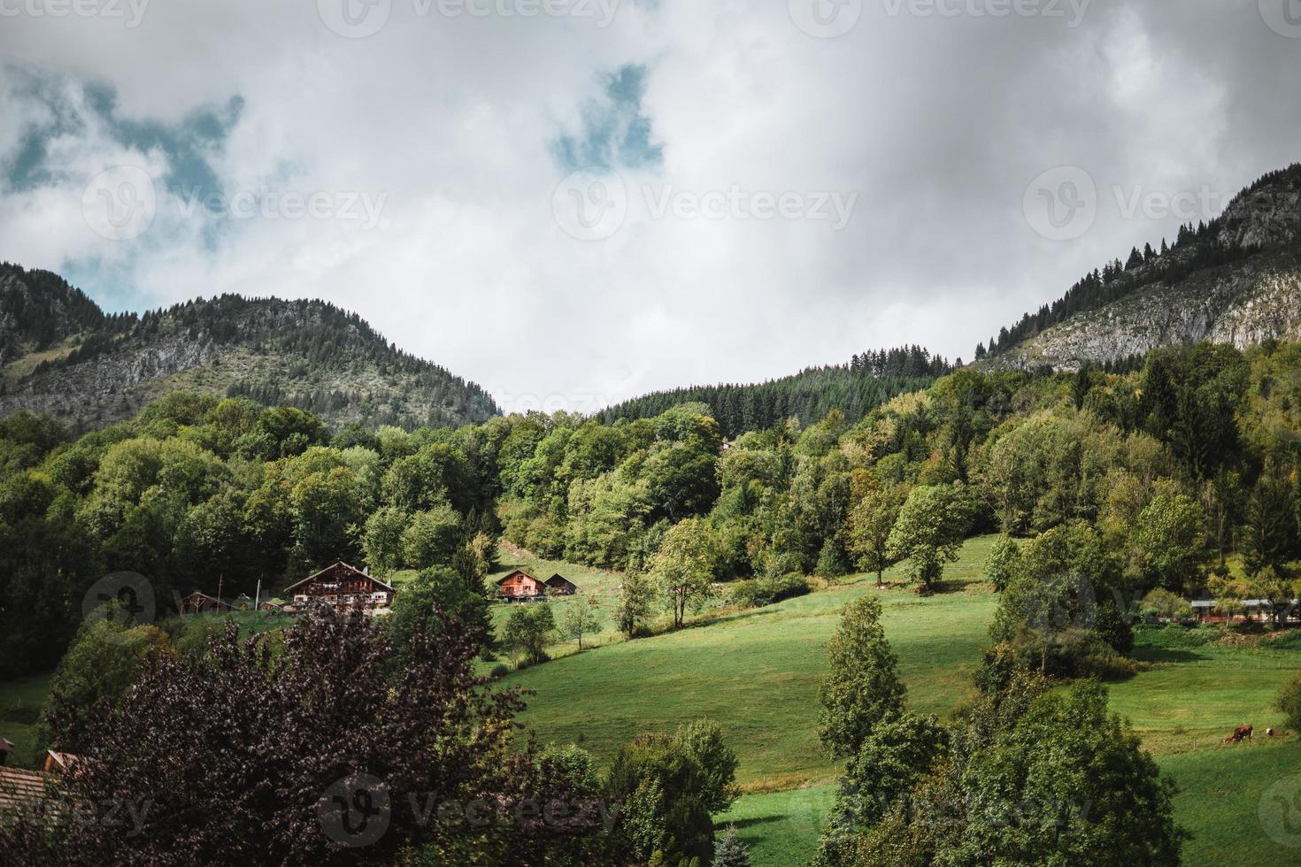 Majestic mountains in the Alps covered with trees and clouds photo