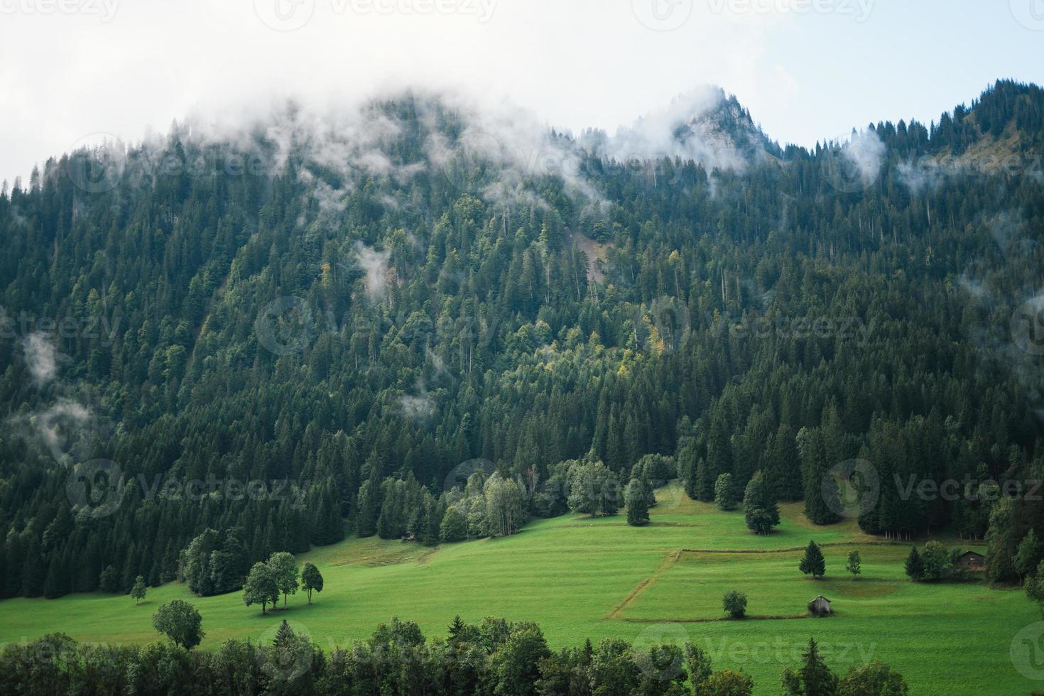 Majestic mountains in the Alps covered with trees and clouds photo