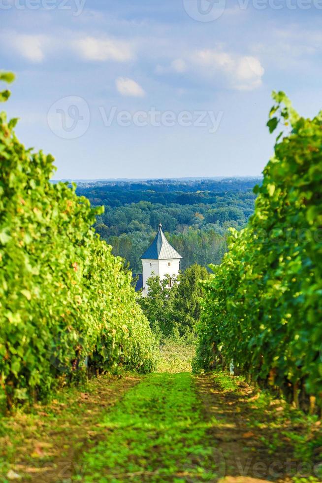 Old church in the vineyard near Tokaj photo