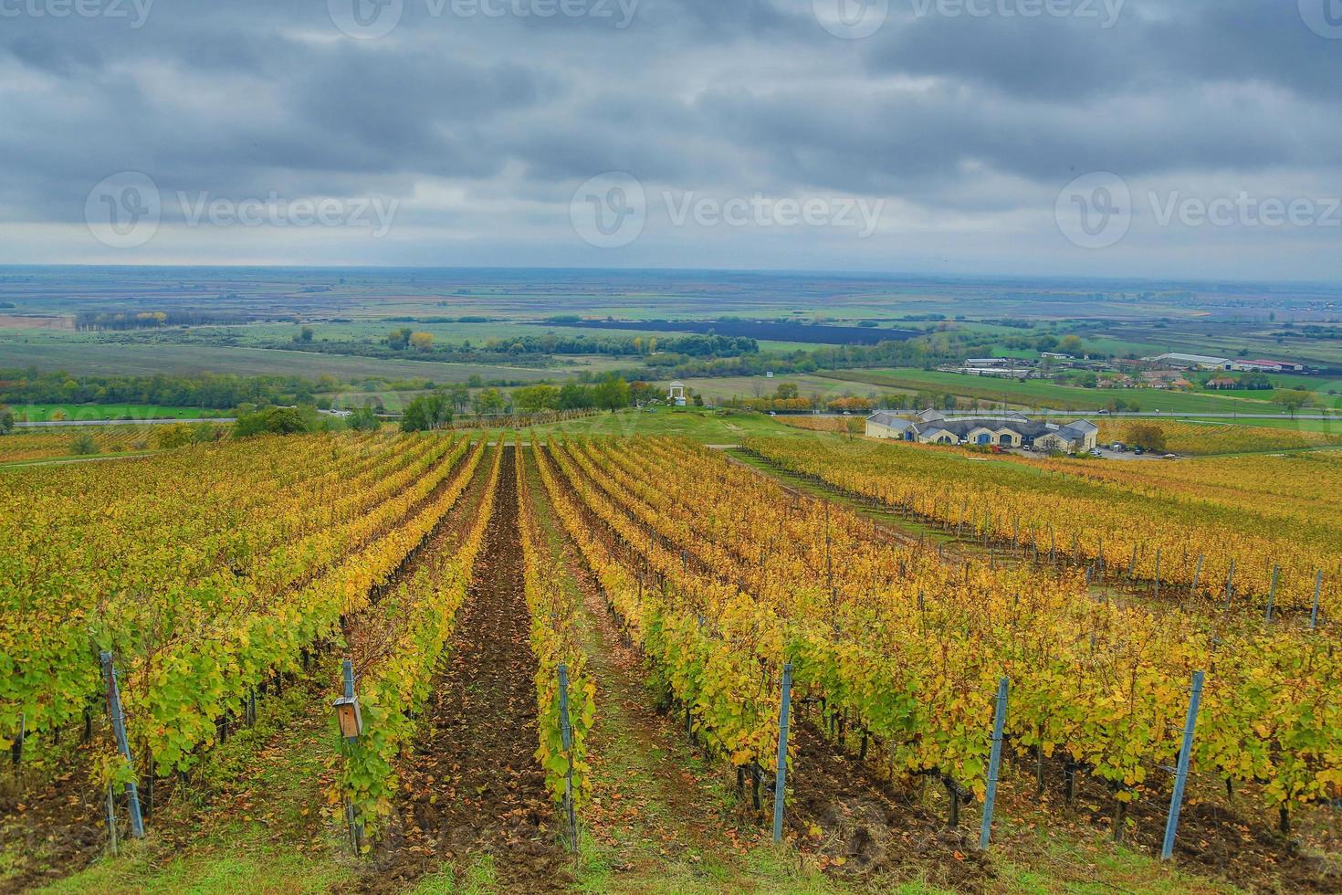 nublado día cerca tokaj foto