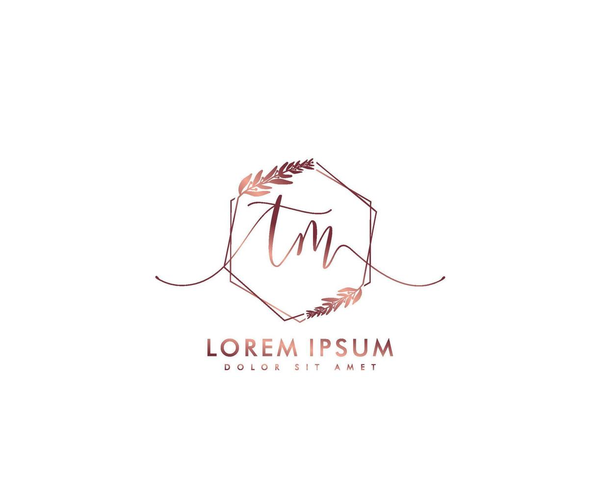 Initial TM Feminine logo beauty monogram and elegant logo design, handwriting logo of initial signature, wedding, fashion, floral and botanical with creative template vector