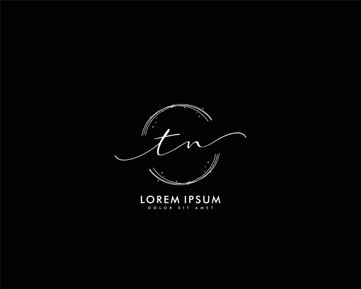 Initial TN Feminine logo beauty monogram and elegant logo design, handwriting logo of initial signature, wedding, fashion, floral and botanical with creative template vector