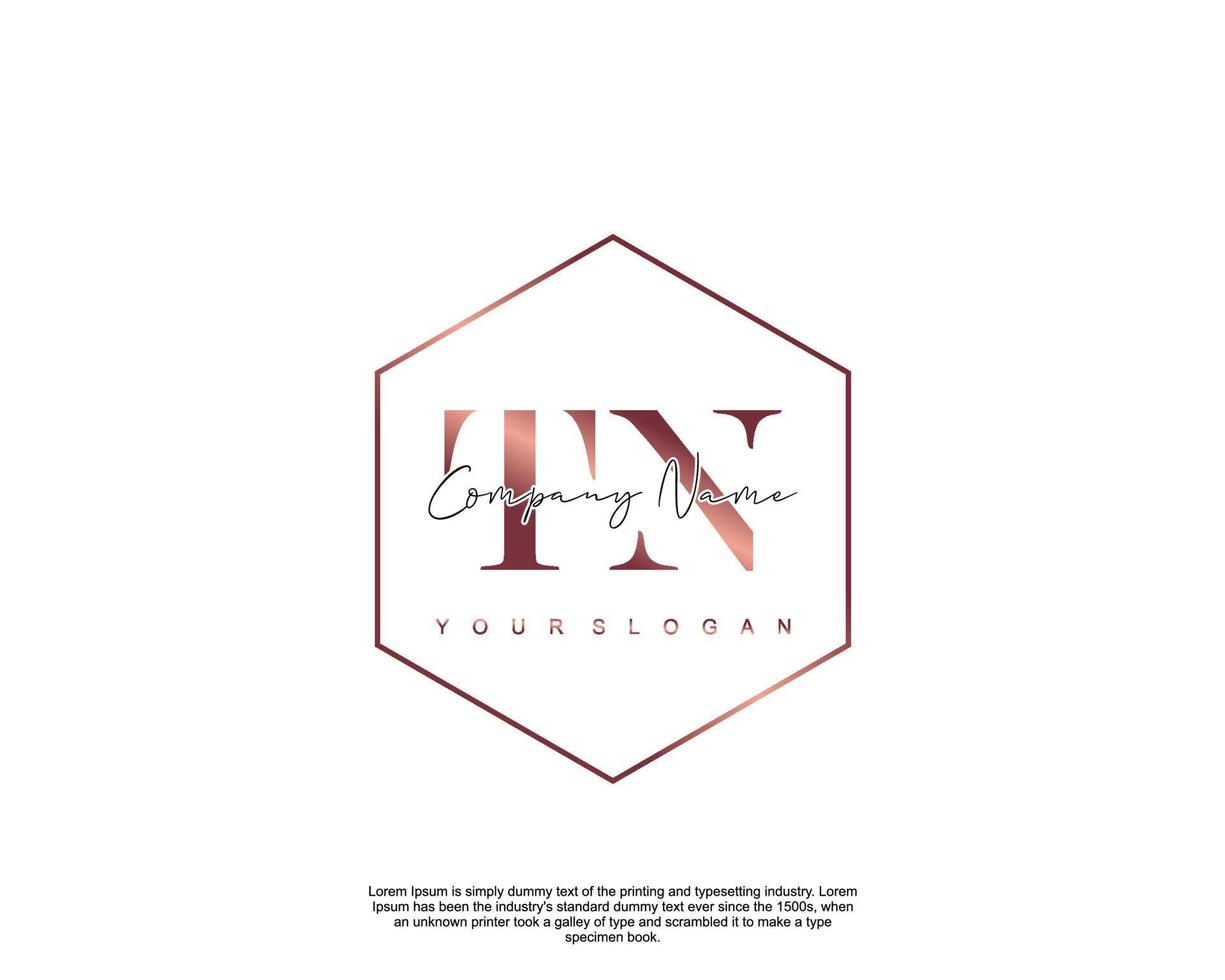 Initial TN Feminine logo beauty monogram and elegant logo design, handwriting logo of initial signature, wedding, fashion, floral and botanical with creative template vector