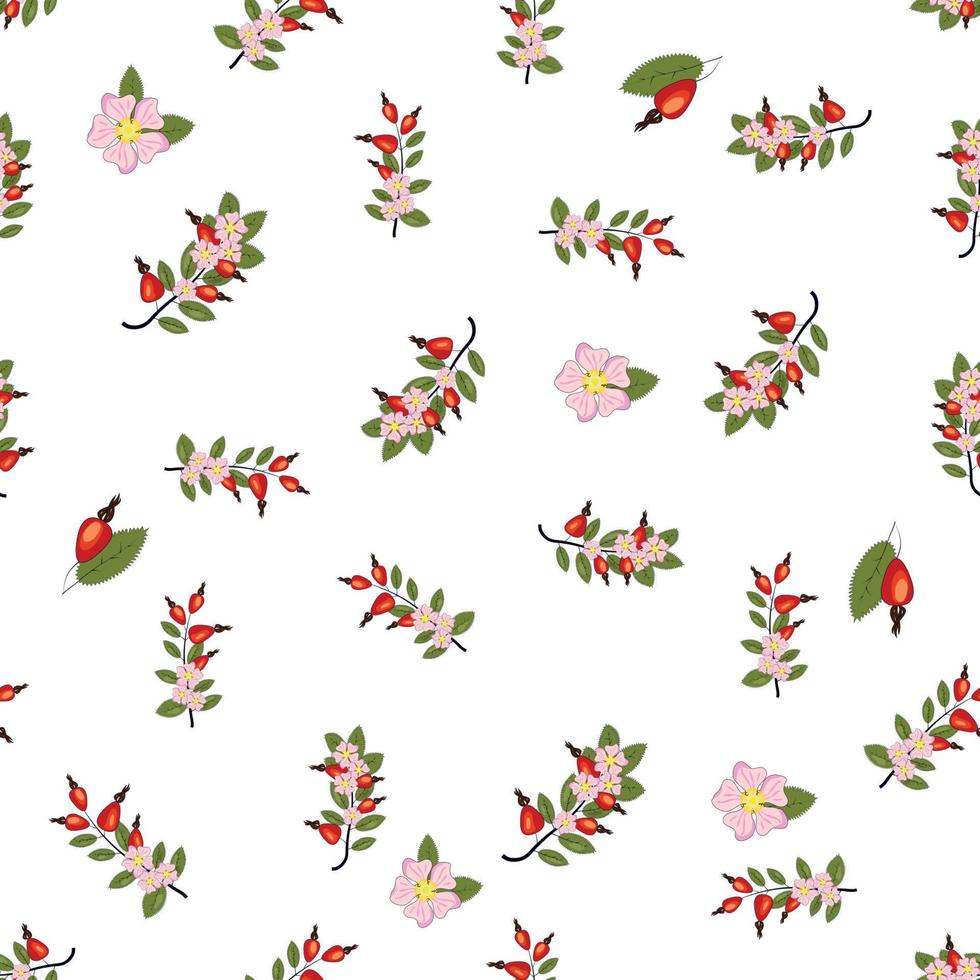 Seamless pattern with rosehip berries and flowers. Collection of various berries, herbs vector