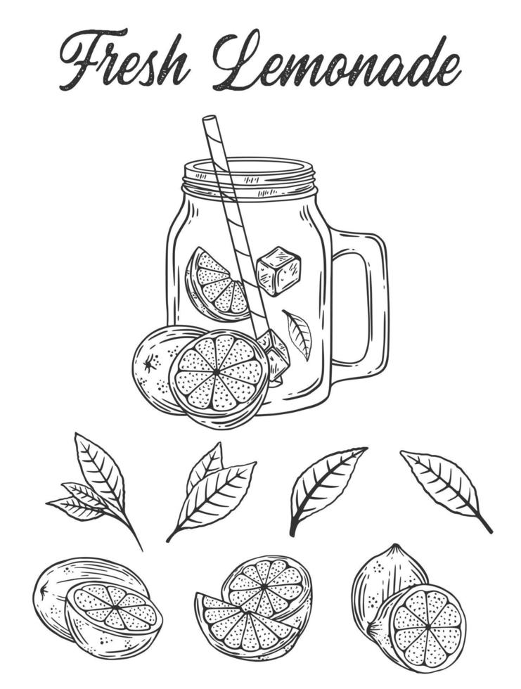Vintage lemonade sketch or Vector hand drawn illustration vector
