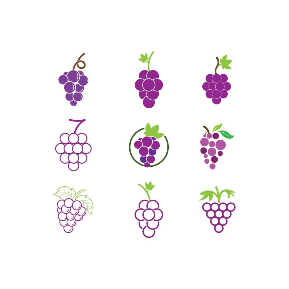 logo de uva con hoja vector