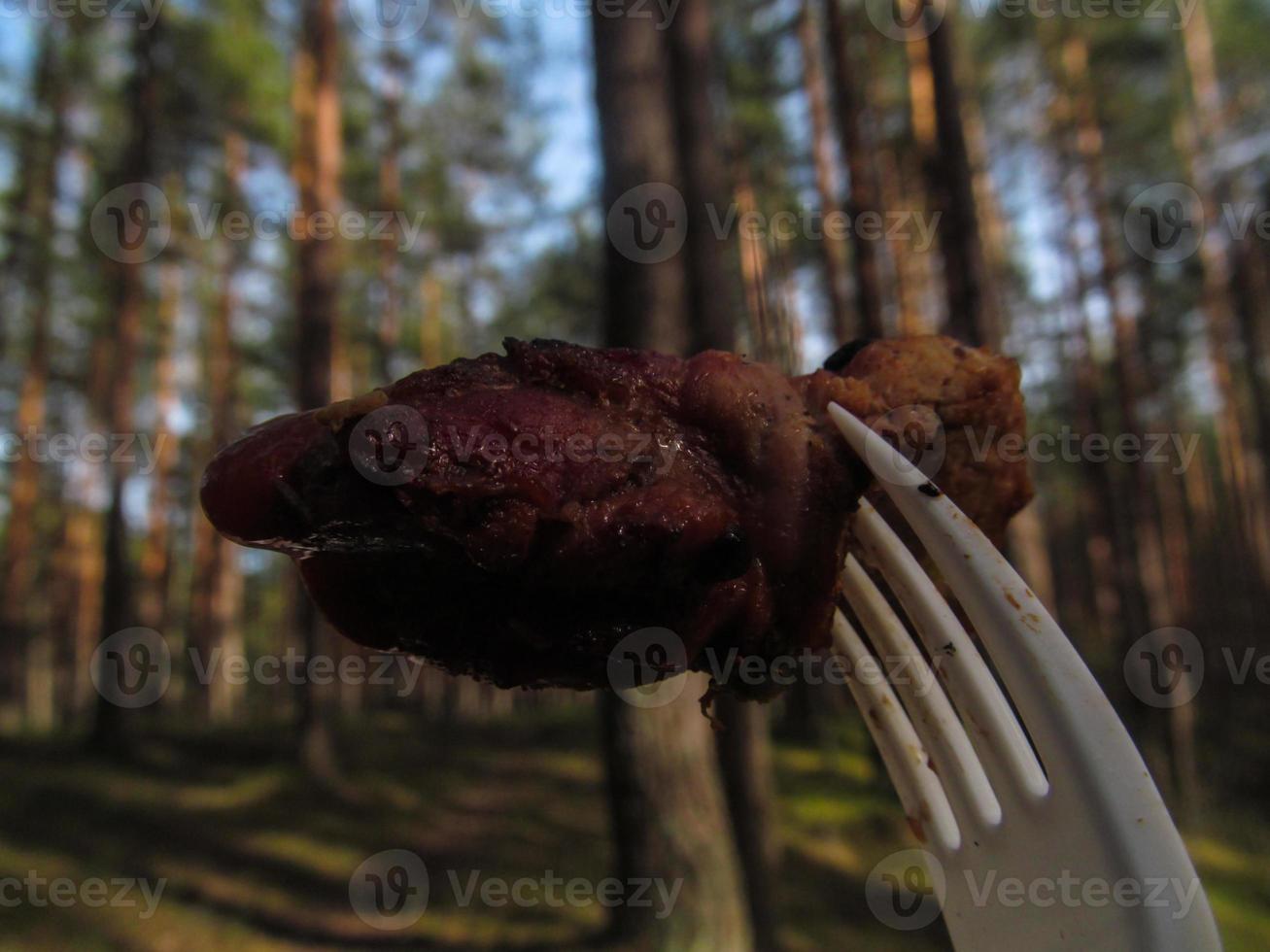 apertura de el parilla temporada en primavera, carne en un tenedor foto