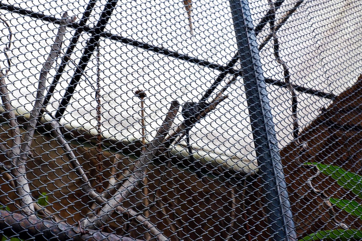 Selective focus of iron cages for the habitat of wild animals. photo
