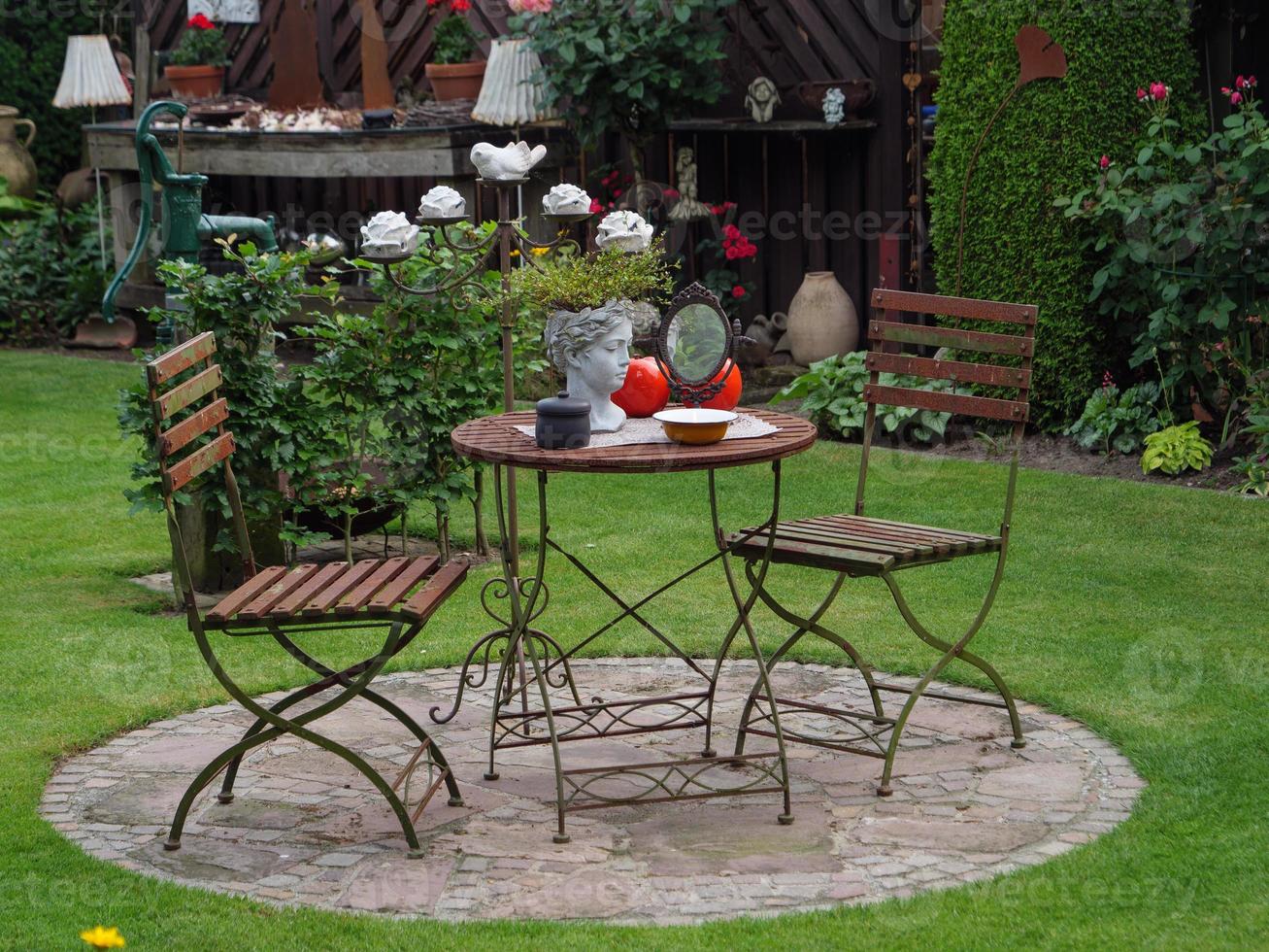 summer time in the garden photo