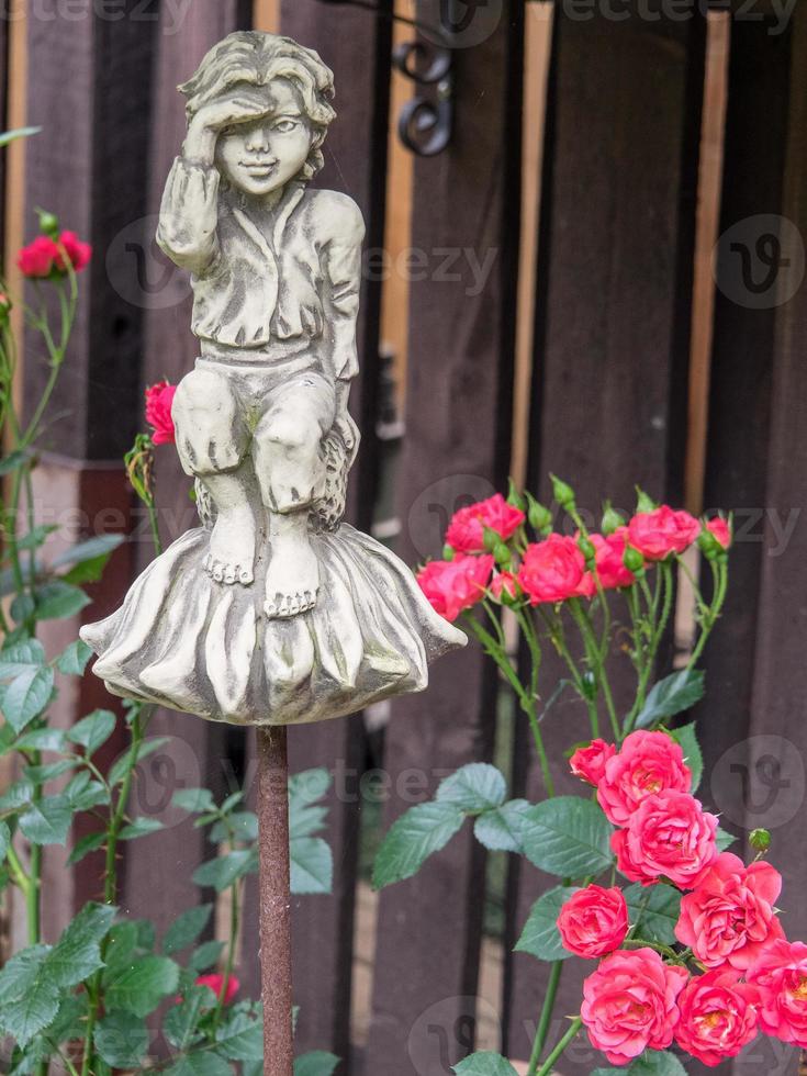 summer time in the garden photo