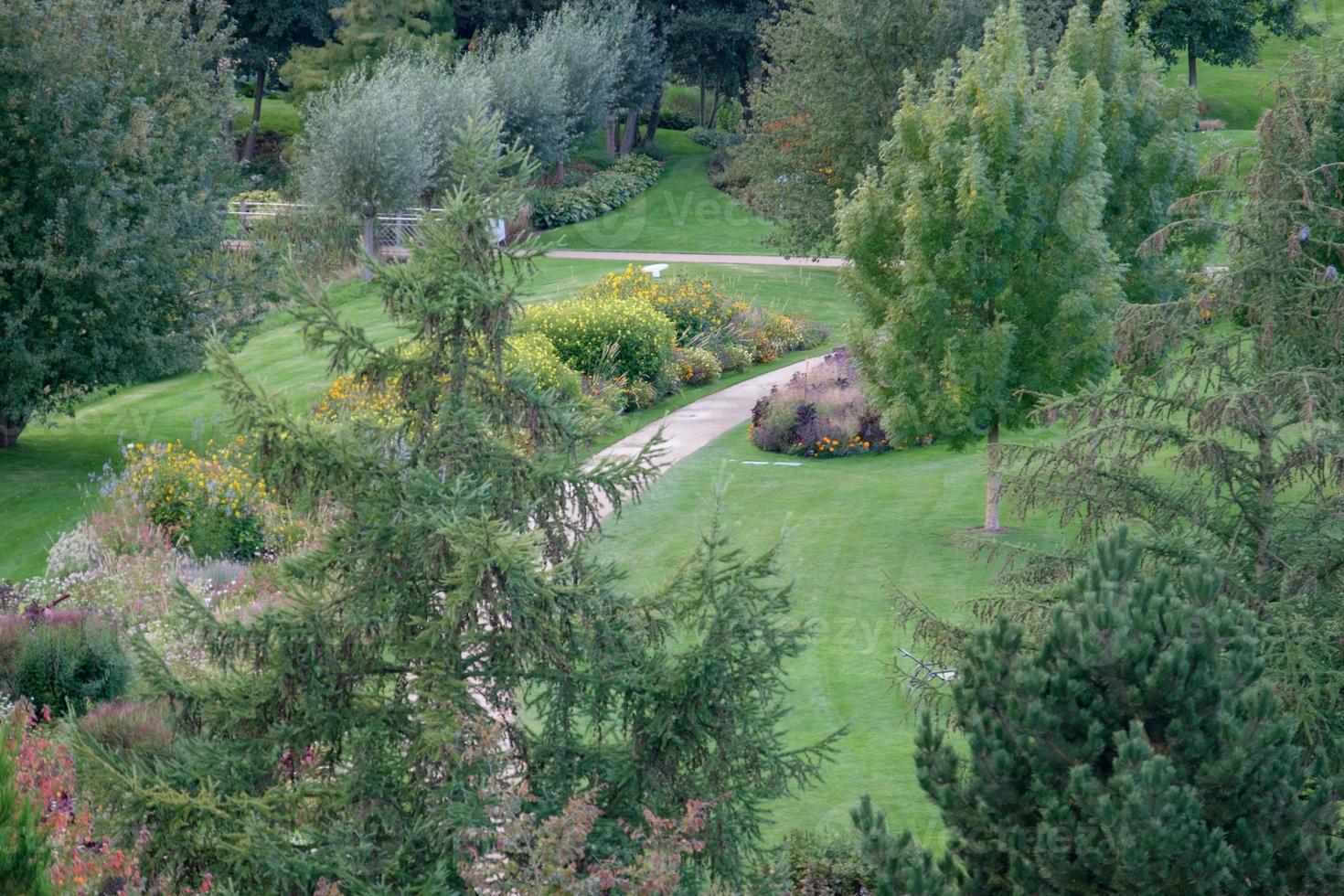 summer time in the garden photo