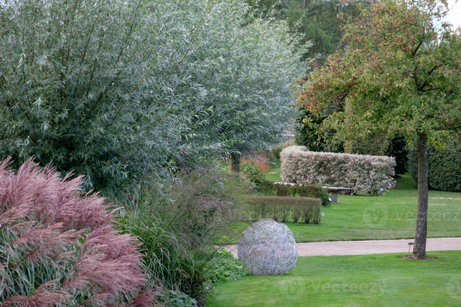 summer time in the garden photo