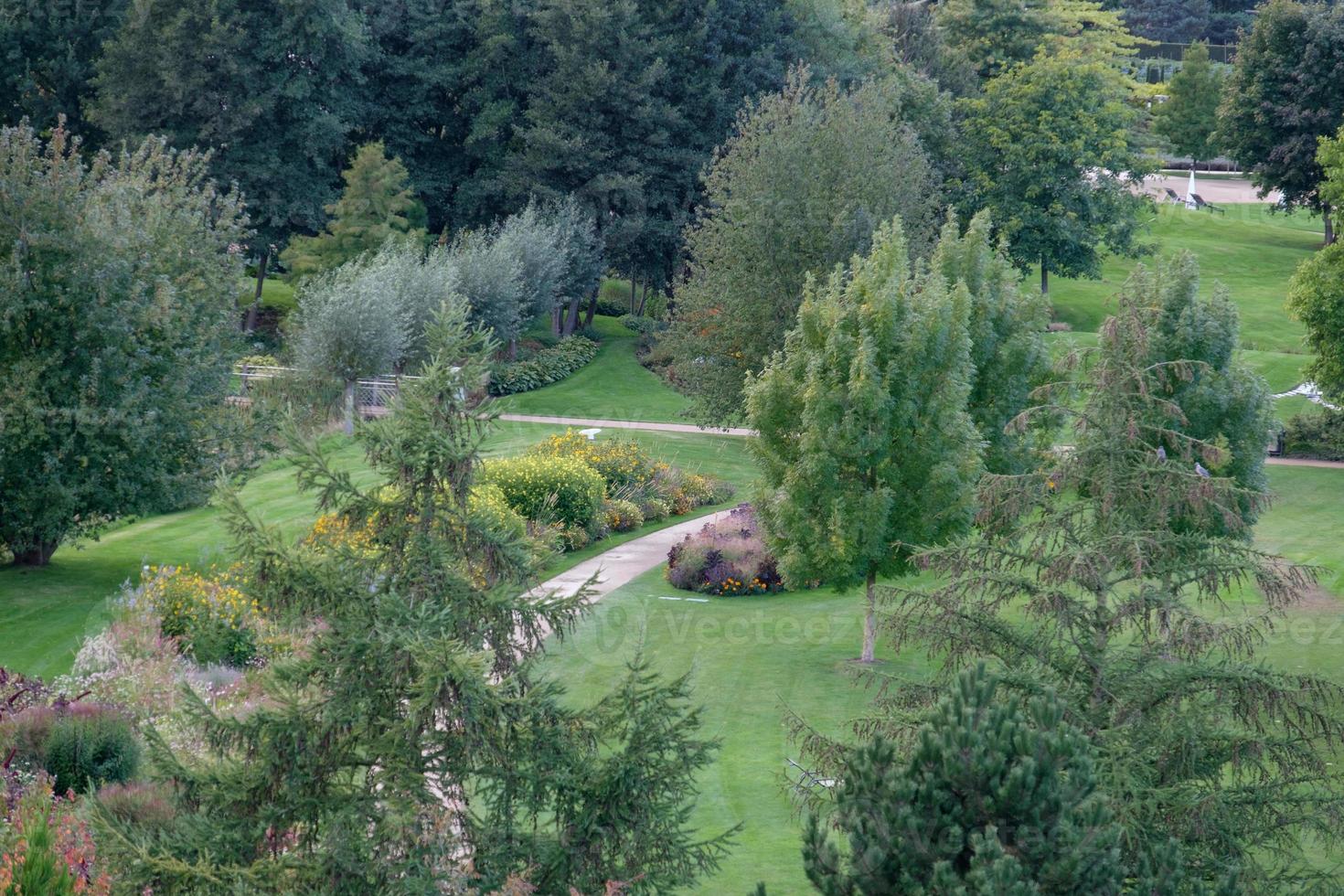 summer time in the garden photo