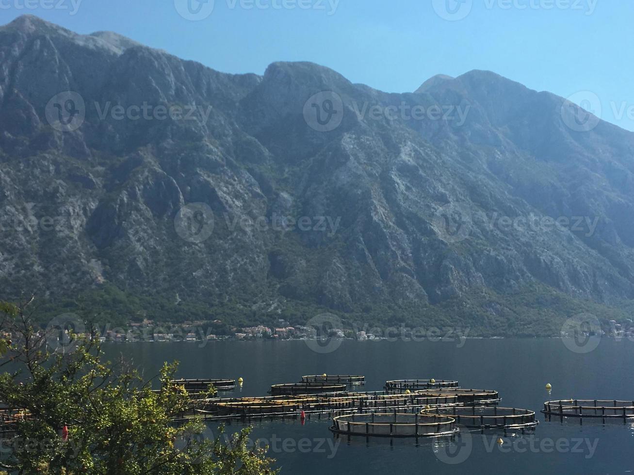 Kotor in Montenegro photo