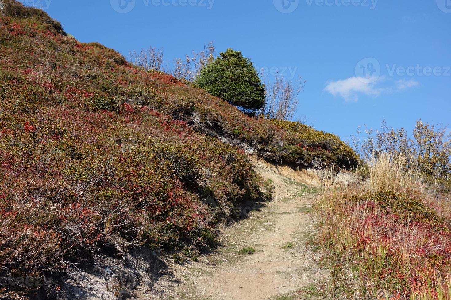 hiking in the swiss alps photo