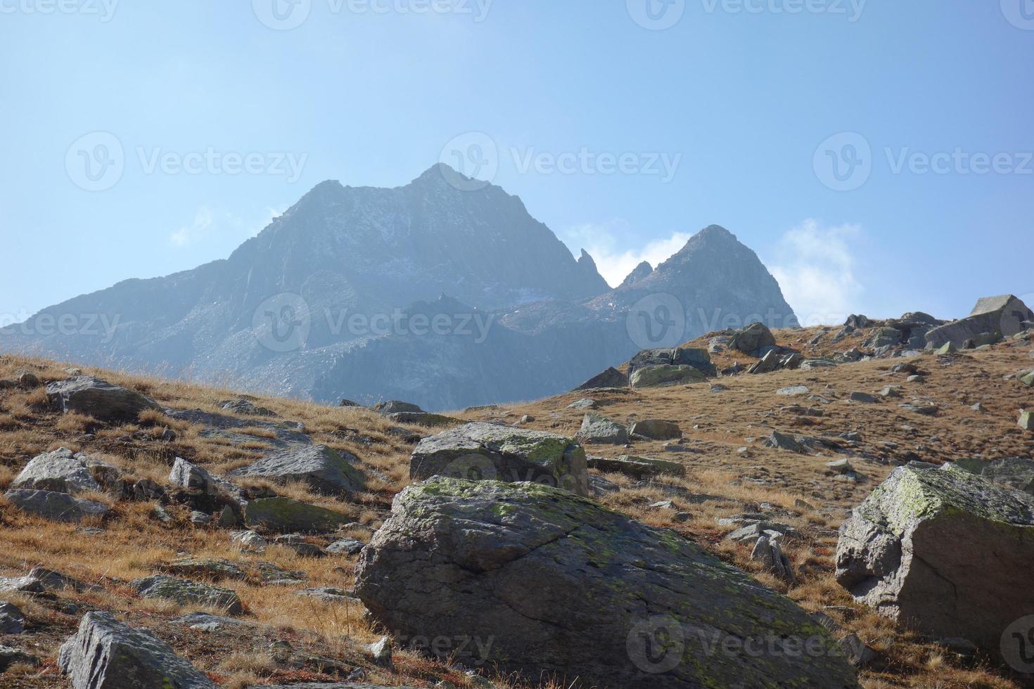 in the swiss mountains photo