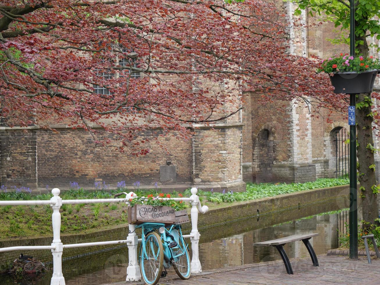 delft city in the nehterlands photo