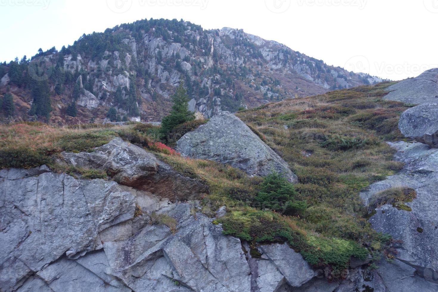 hiking in the swiss alps photo