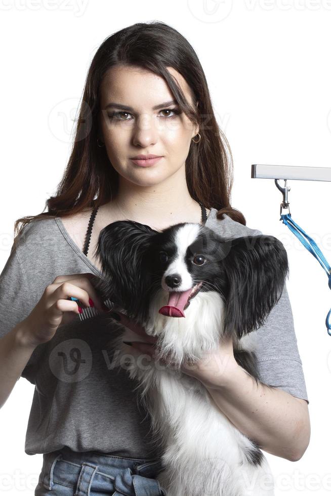 Young professional groomer with pets. She is posing with an instrument. Papillon dog and girl hairdresser. photo