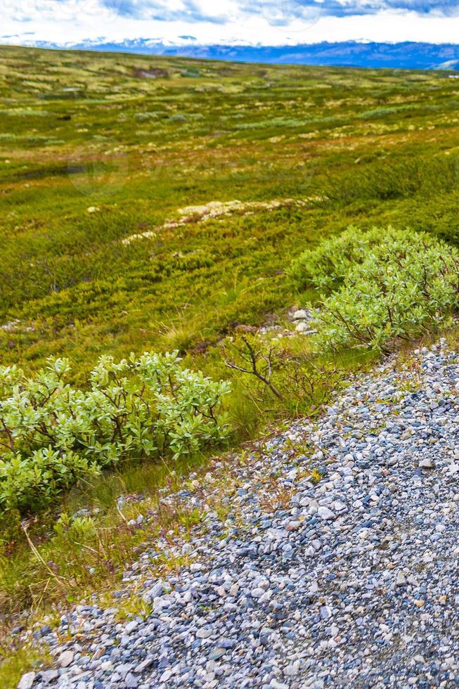 Beautiful mountain and landscape nature panorama Rondane National Park Norway. photo