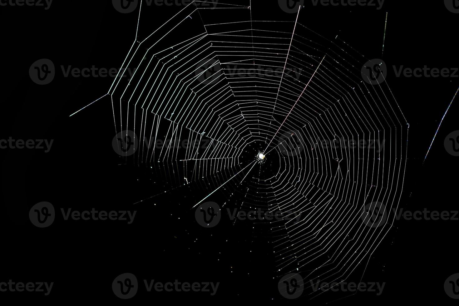 A web woven by a spider on a black background. photo