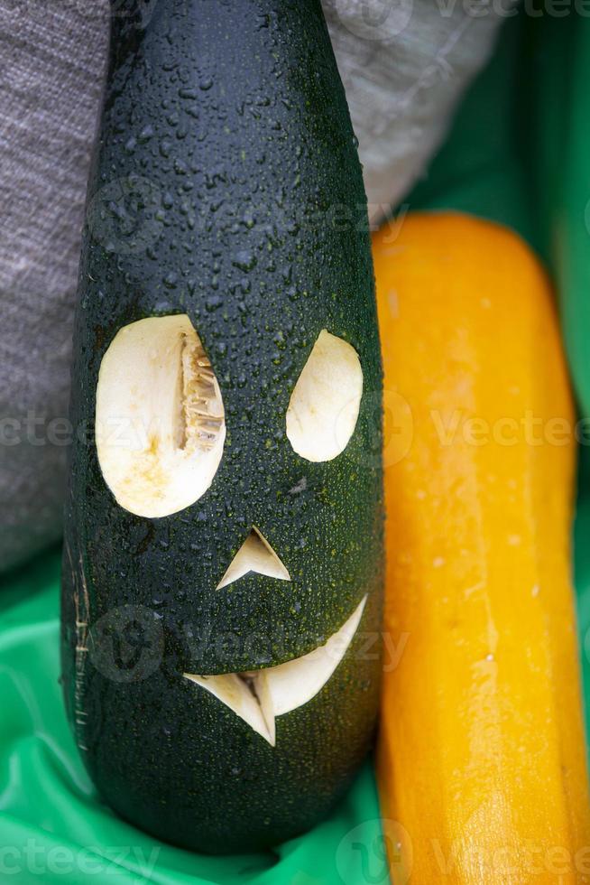 For Halloween, a scary face was carved into a zucchini. photo