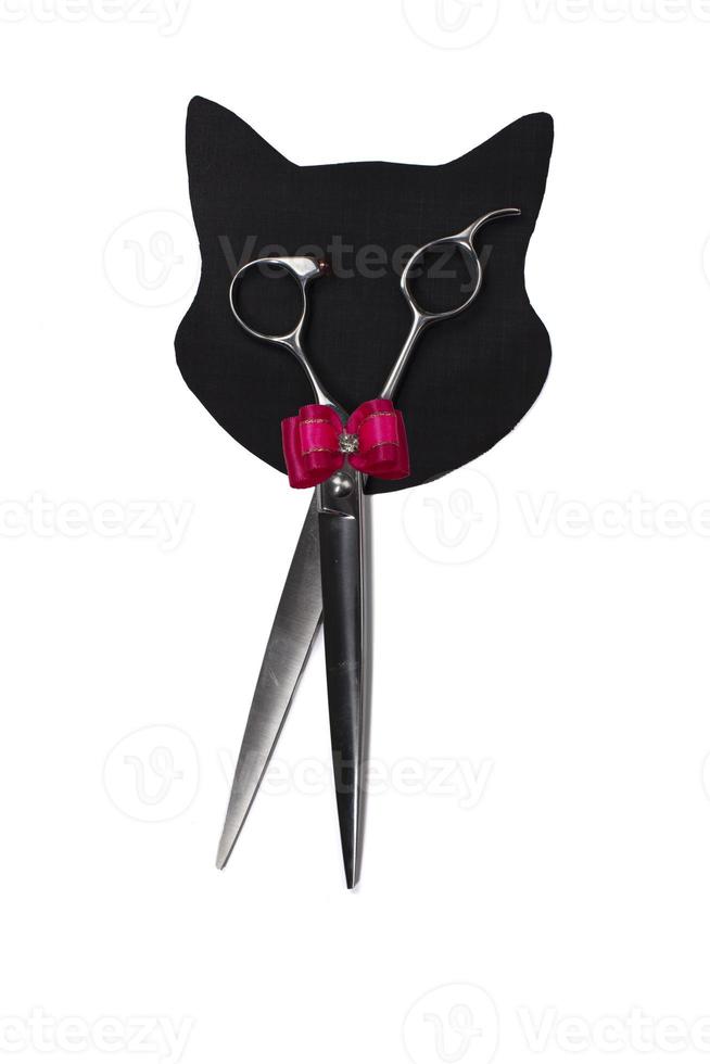 Set of different combs and brushes for grooming pets on a white background with shadow reflection. A creative cat figurine made from grooming tools. photo